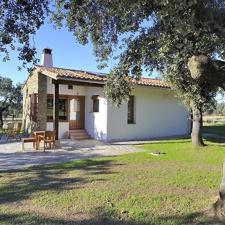 Finca Las Abubillas Jaraicejo Rom bilde