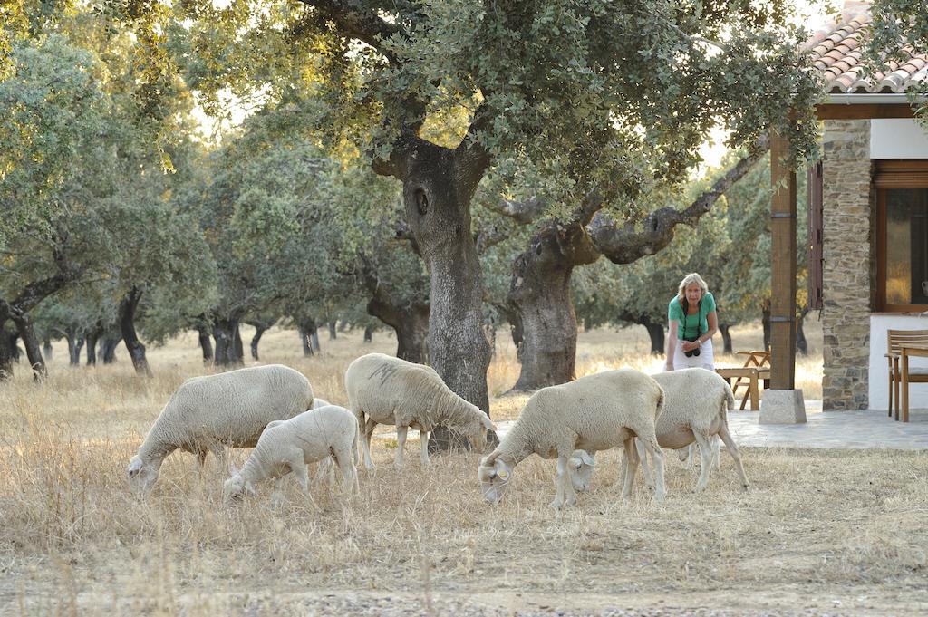Finca Las Abubillas Jaraicejo Eksteriør bilde